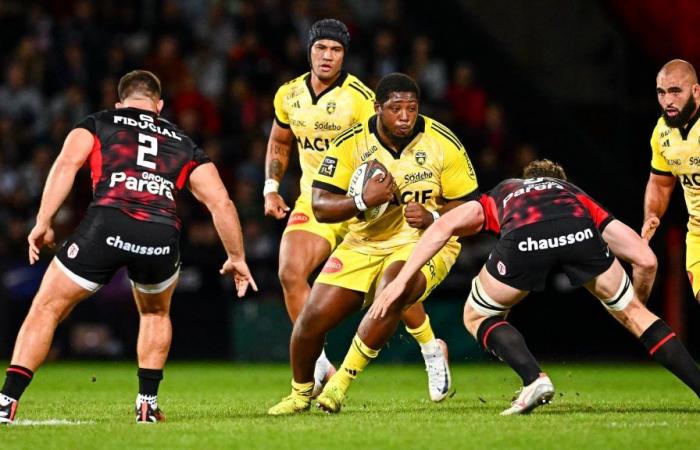 Schwerer Schlag von Stade Toulousain, das in der nächsten Saison auf Georges-Henri Colombe zählen kann