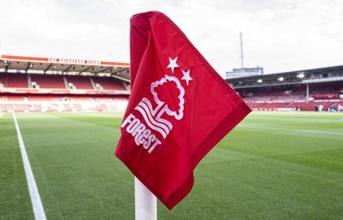 Nottingham Forest verhängte eine Geldstrafe von 900.000 Euro wegen Kritik an VAR auf X