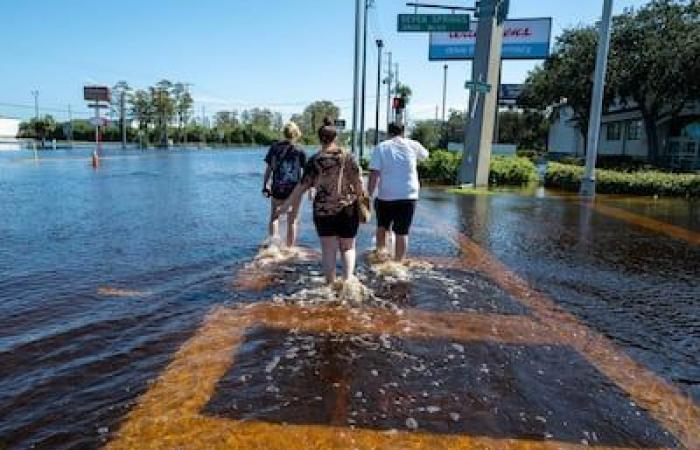 Die Hurrikane „Milton“ und „Helene“ lösen in den USA einen Desinformationstornado aus