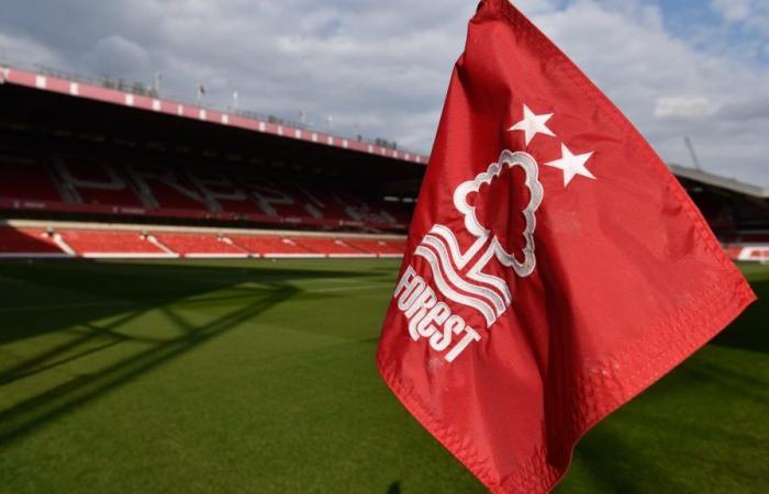 Rekordstrafe für Nottingham Forest, der VAR in den sozialen Medien kritisierte