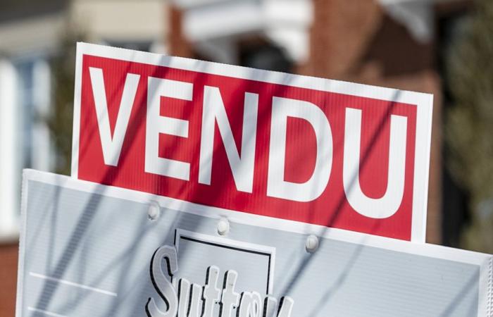 Drittes Trimester | Der Immobilienmarkt in Quebec scheint „lebendig“ zu sein