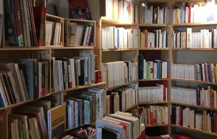 Saint-Etienne: ein entscheidendes Buchfestival für die wirtschaftliche Zukunft der Buchhändler