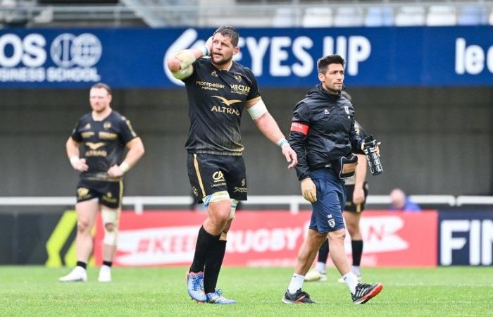 Top 14 – Montpellier: Paul Willemse, eine sechste Gehirnerschütterung und eine Zukunft auf Eis