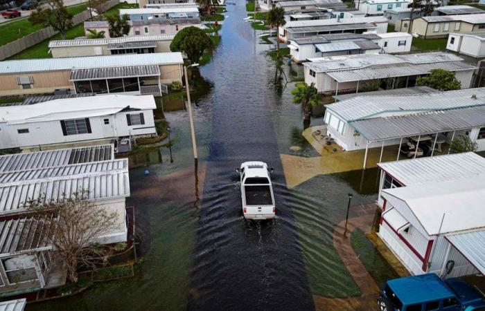 Die Hurrikane „Milton“ und „Helene“ lösen in den USA einen Desinformationstornado aus