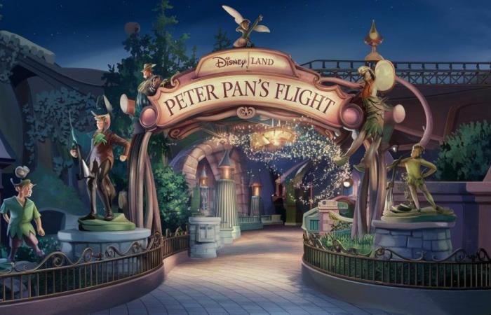 Lebhafte Debatte um die Modifikation von Peter Pans Flug