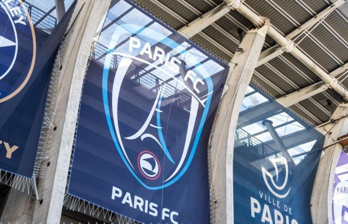 Paris FC: Der 100-Millionen-Euro-Deal der Familie Arnault wird bald abgeschlossen!