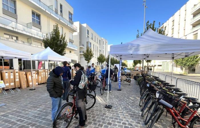 Fahrräder, die von Athleten der Olympischen Spiele in Paris verwendet wurden, wurden in Essonne verkauft