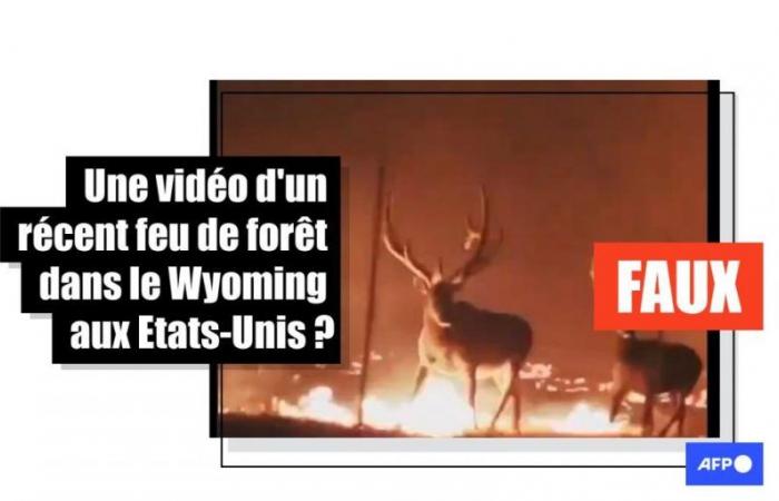 Bitte beachten Sie, dass dieses Brandvideo aus dem Jahr 2021 stammt und kein Feuer in Wyoming zeigt