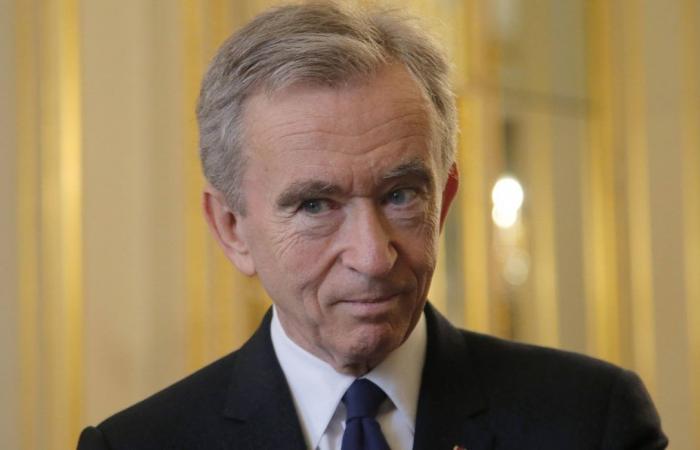 Die Regierung hat versehentlich die E-Mail-Adresse von Bernard Arnault veröffentlicht