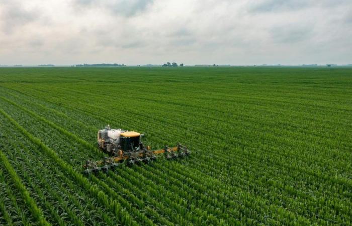 Haute-Savoie, Savoie, Ain: Wie hoch ist der Verkaufspreis für landwirtschaftliche Flächen und Bauernhöfe?