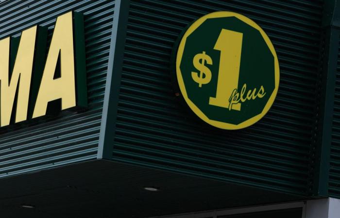 Kollektive Aktion zu Ecofees | Dollarama-Kunden können mit einem Erhalt zwischen 3 und 10 US-Dollar rechnen