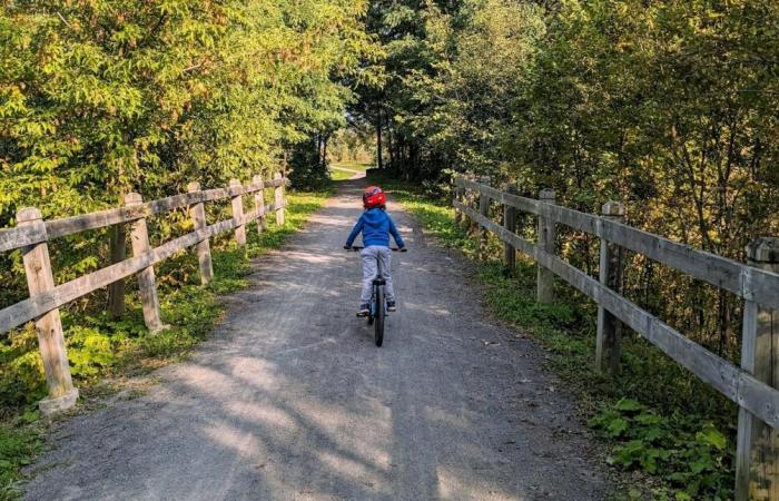 Saumurois. Wie fällt die Bilanz für Vélo Francette nach 10 Jahren seines Bestehens aus?