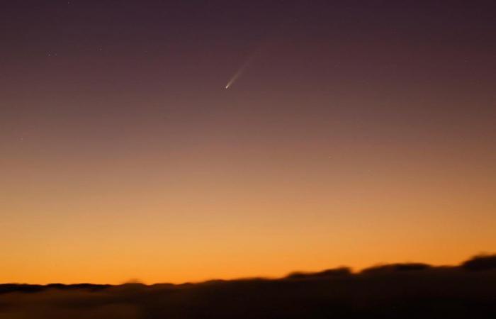 Der Komet Tsuchinshan-Atlas wird einige Abende lang von der Nordhalbkugel aus sichtbar sein