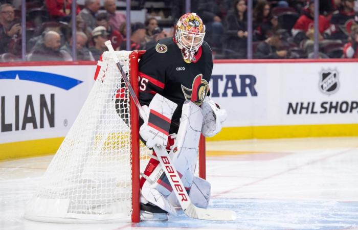 Senatoren von Ottawa | Endlich ein Torwart… endlich die Playoffs?