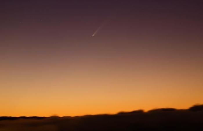 Der Komet Tsuchinshan-Atlas wird einige Abende lang von der Nordhalbkugel aus sichtbar sein