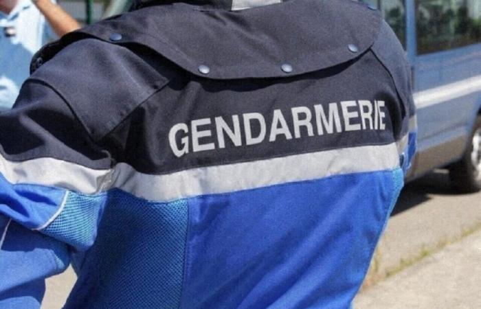 Calvados. Vier Männer, die für Seriendiebstähle von Karren verantwortlich sind, wurden von der Gendarmerie festgenommen