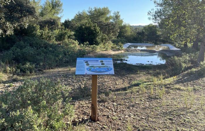 NÎMES Die Jagd- und Naturschule als Beispiel