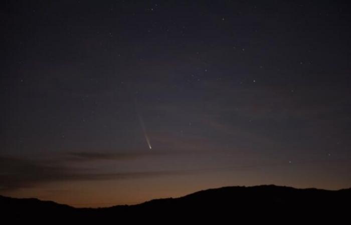 Komet Tsuchinshan-ATLAS für einige Abende von der Nordhalbkugel aus sichtbar