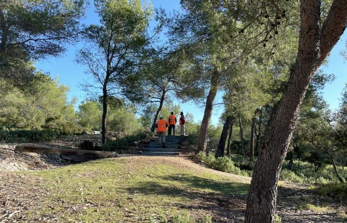 NÎMES Die Jagd- und Naturschule als Beispiel