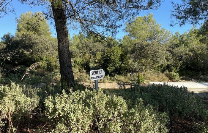 NÎMES Die Jagd- und Naturschule als Beispiel