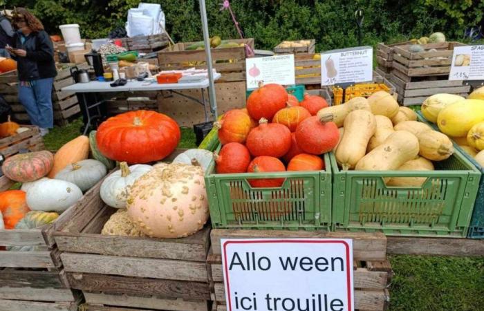 In Bildern. Zoé und Gisèle laden Sie zum Hexenfest ein, wo das Publikum das Verkleidungsspiel spielt!