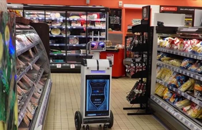 Wer ist Windy, der Roboter, mit dem Carrefour gegen Diebstahl kämpft?