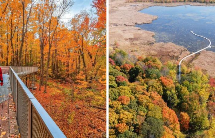 8 Wanderwege mit Stegen, maximal 2 Stunden von Montreal entfernt, für magische Spaziergänge in diesem Herbst