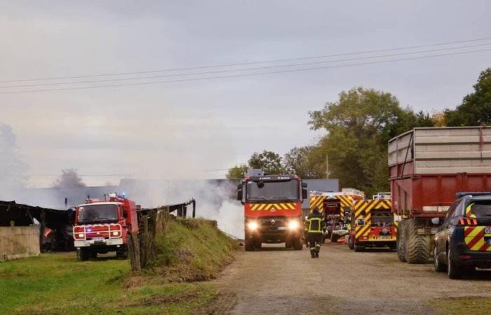 Feuerwehrleute mobilisierten zu einem Brand auf einer Farm in North Mayenne