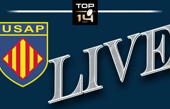 DIREKT. Top 14: USAP wird zur Pause von UBB bestraft (31:0), verfolgen Sie den zweiten Akt live