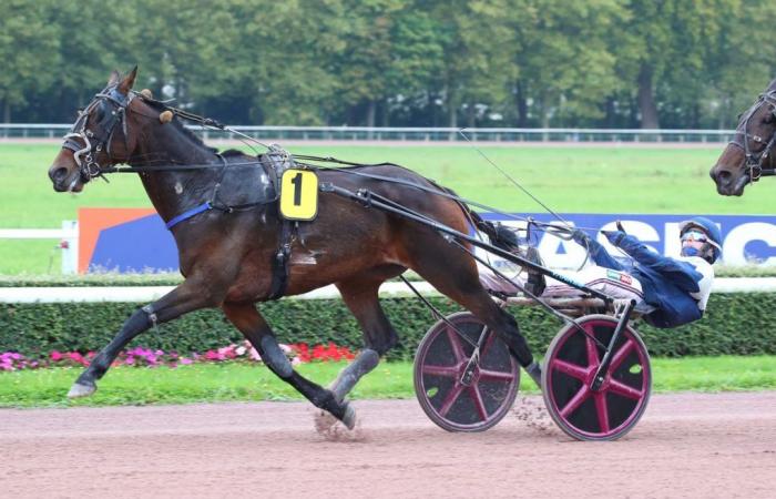 Samstag in Caen – Quinté+Gard verdoppelt den Einsatz mit dem „Yankee“