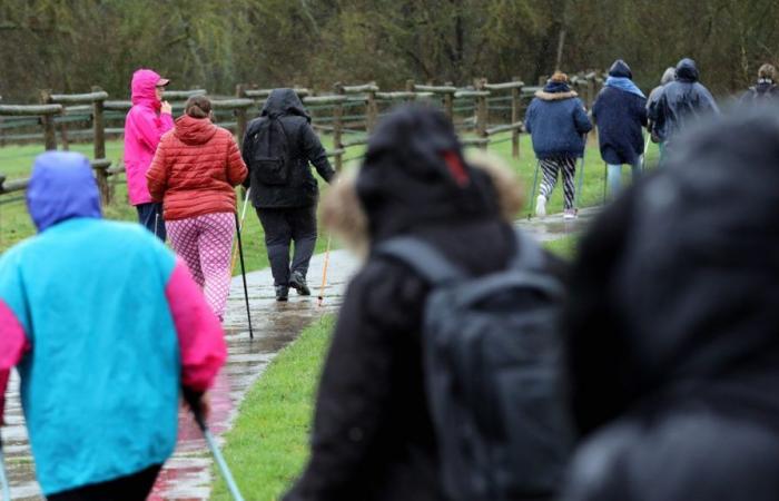 der Schlüssel zur (erneuten) Bekämpfung von Depressionen