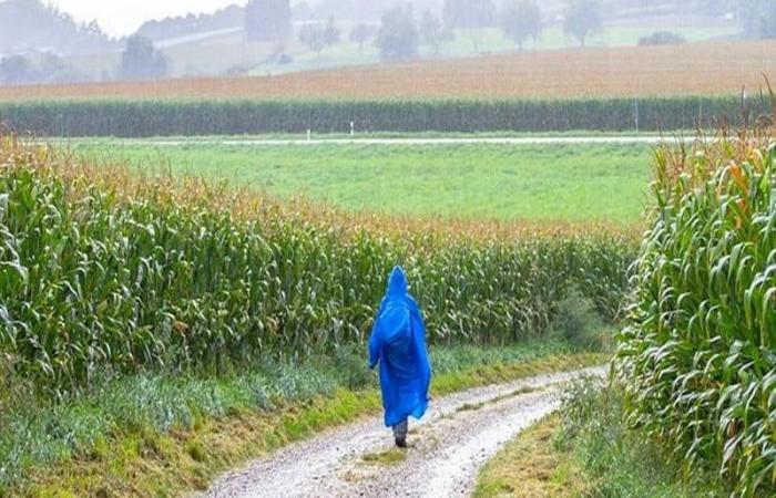 günstige Regenfälle, aber perspektivisch unter Beobachtung