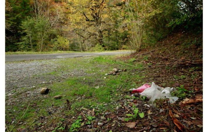 Der Morgen. Neuer Schritt in der Untersuchung des Mordes an Chevaline; Eine gefährliche Straße in Haute-Savoie wurde identifiziert; Stéphane Bern vertraut wie nie zuvor… Hier ist der Morgen dieses Sonntags