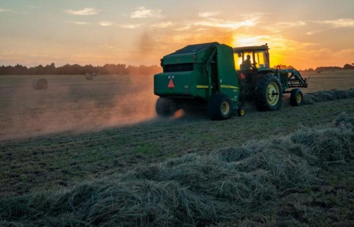 Frankreich: Sie lösen einen Familienkonflikt, indem sie mit einem Traktor hineinfahren