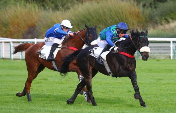 Kandy Park gewinnt den Bayonnet-Preis 2024 in Auteuil