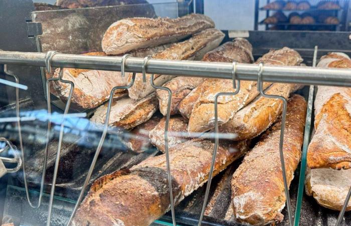 Hier sind laut 60 Millionen Verbrauchern die schlechtesten Brotbaguettes aus dem Supermarkt