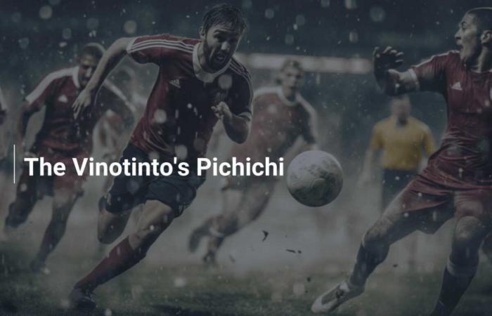 Le Pichichi de la Vinotinto