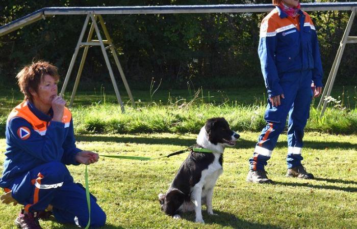 Decazeville. Hunde im Mittelpunkt aller Aufmerksamkeit