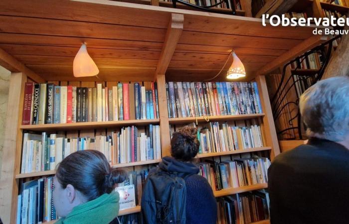 die 13.000 Bücher der Patrick-Ansar-Bibliothek, beleuchtet von Marions Beleuchtungskörpern