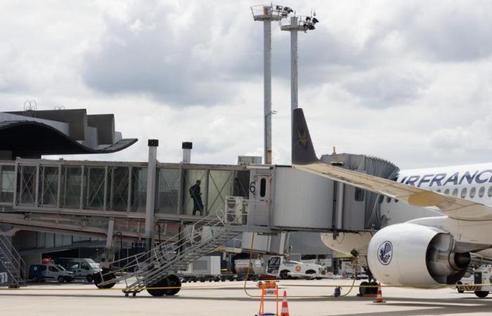 der Flughafen, ein Schwergewicht im Flugverkehr und der regionalen Wirtschaft