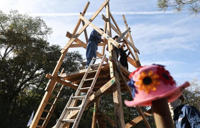 ein Bildungstreffen, um „den Kampf sichtbar zu machen“