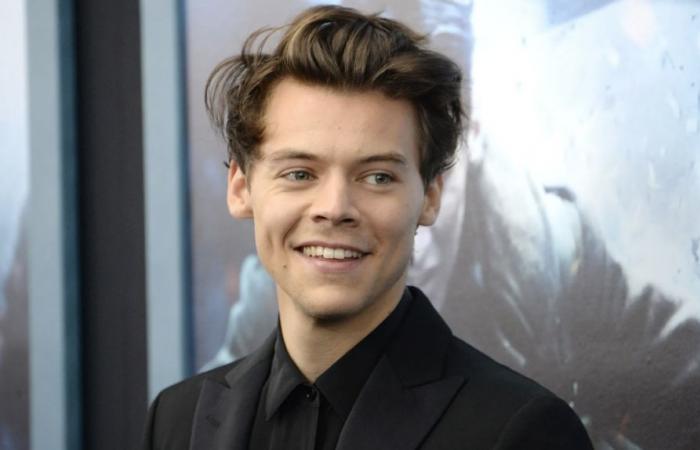 Entdecken Sie die luxuriösen Residenzen von Harry Styles auf der ganzen Welt – Actual Immo