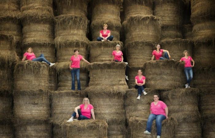 Calvados-Bauern posieren in einem Kalender für Pink October