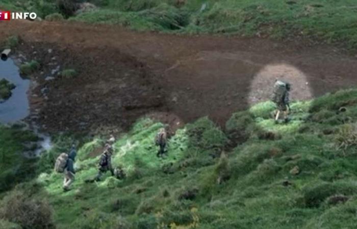 Neuseeland: Die Jagd nach einem Vater auf der Flucht mit seinen Kindern seit 2021, neu gestartet durch ein Video