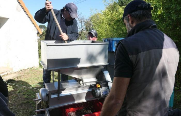 Diese Stadt ist berühmt für ihre Salzgewinnung und führt auch die Salzernte durch