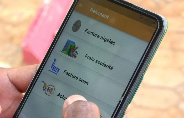 Niger: Mobile Zahlungen sind auf dem Vormarsch
