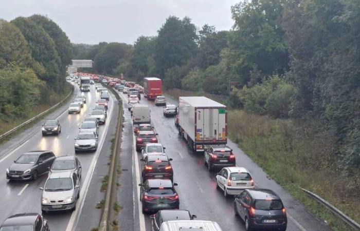 Es kommt Action, Meereserwärmung, neue Brücke … die Neuigkeiten von diesem Wochenende in Caen