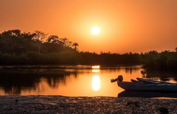 (Multimedia) Senegal: Premierminister verspricht staatliche Unterstützung für „Wiederbelebung“ des nationalen Tourismus – Xinhua