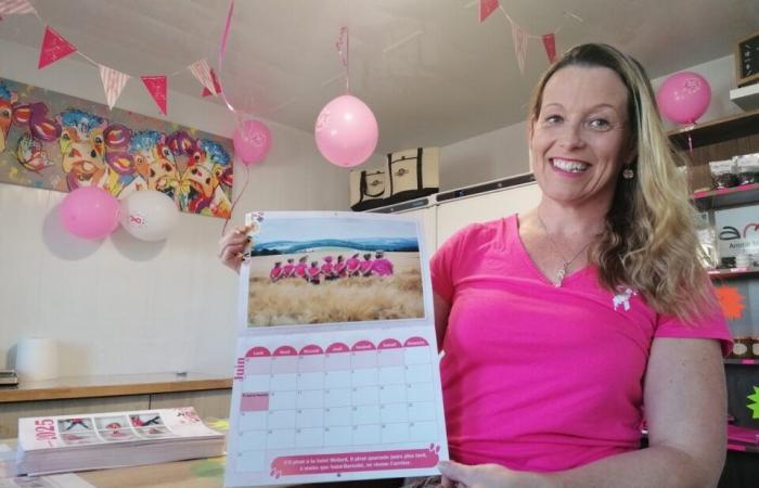 Calvados-Bauern posieren in einem Kalender für Pink October