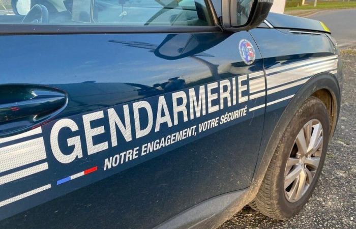 Deux-Sèvres: Vier Tote in einem Elektroauto, das nach dem Verlassen der Straße in Celles-sur-Belle Feuer fing